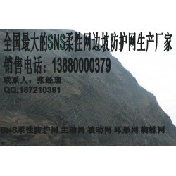 專業(yè)的被動網(wǎng)rx050,rxi075供應(yīng)商推*——大理被動防護(hù)網(wǎng)