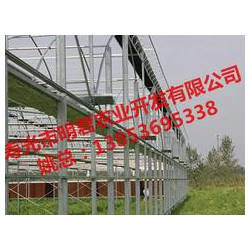 【誠薦】智能溫室大棚建設訊息，溫室大棚搭建報價